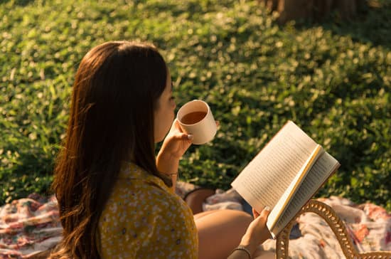 草原で読書とお茶を楽しむ女性のひととき